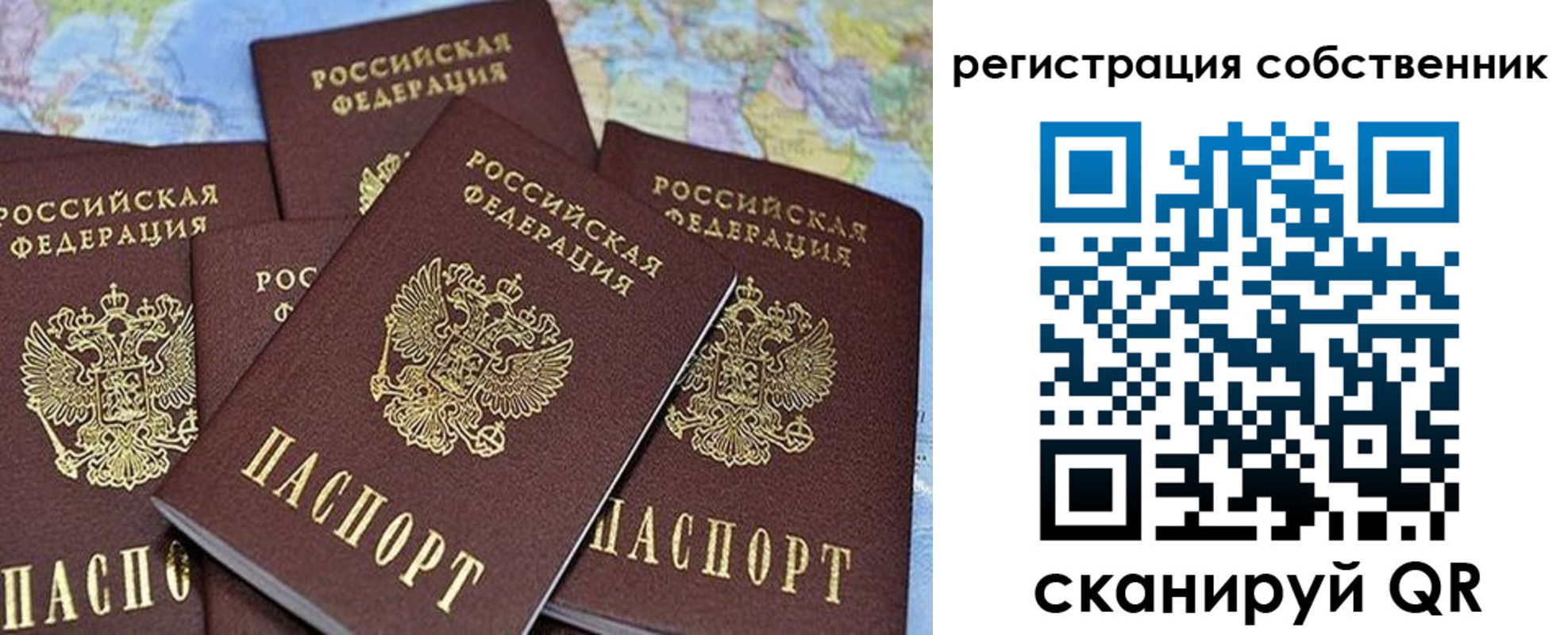 прописка для школы в Тихорецке